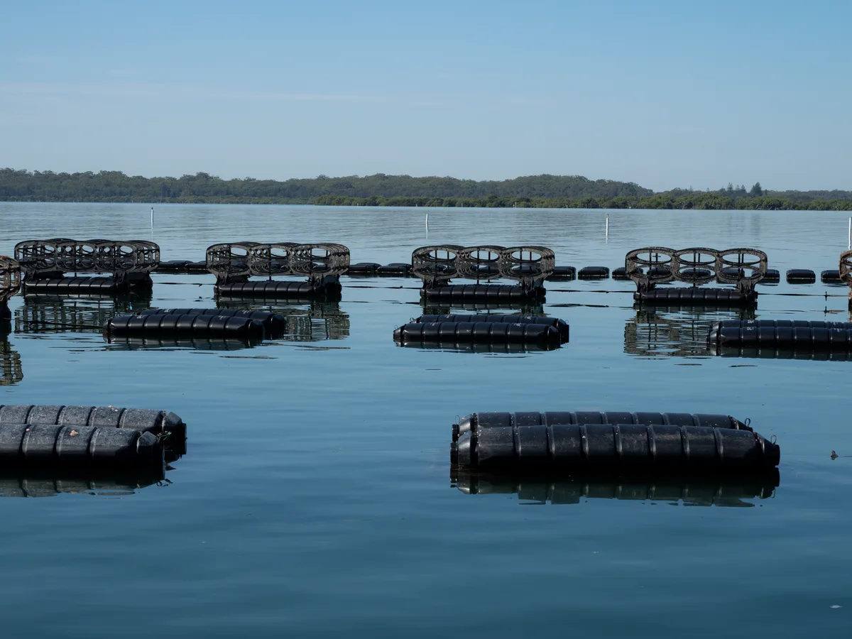Zapco custom oyster farm setup