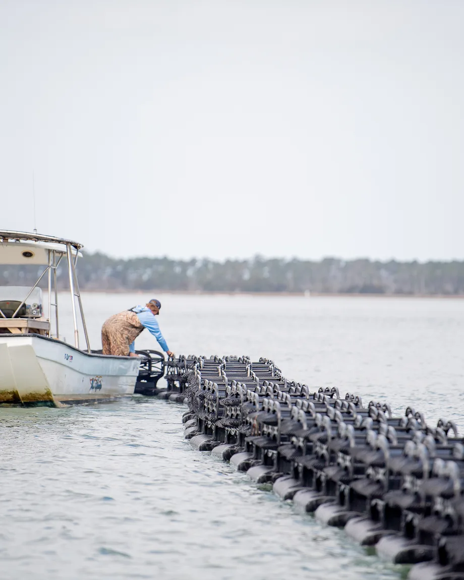 Zapco farmer working on oyster farm